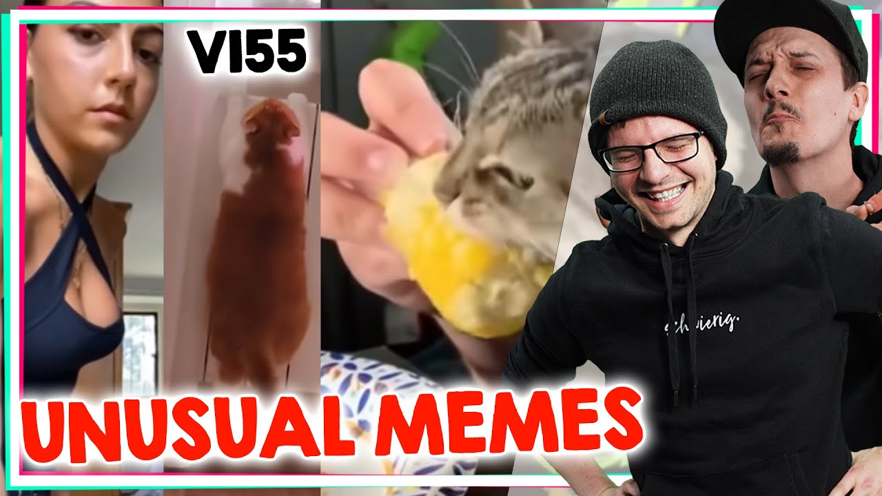Spaß, Spaß, Spaß Spaß! UNUSUAL MEMES COMPILATION V155 | Reaktion