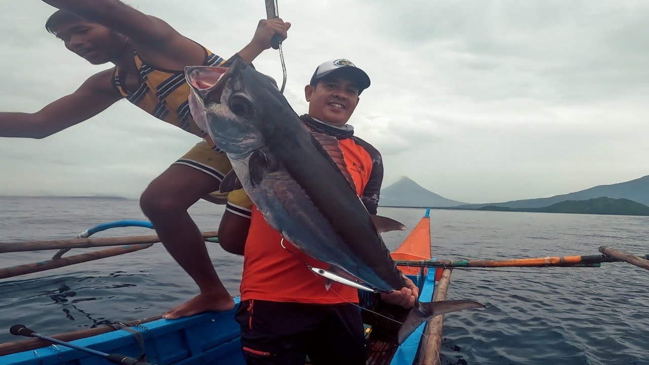Big fight with monster dogtooth tuna on vertical jigging fishing. #verticaljigging #fishing #fish