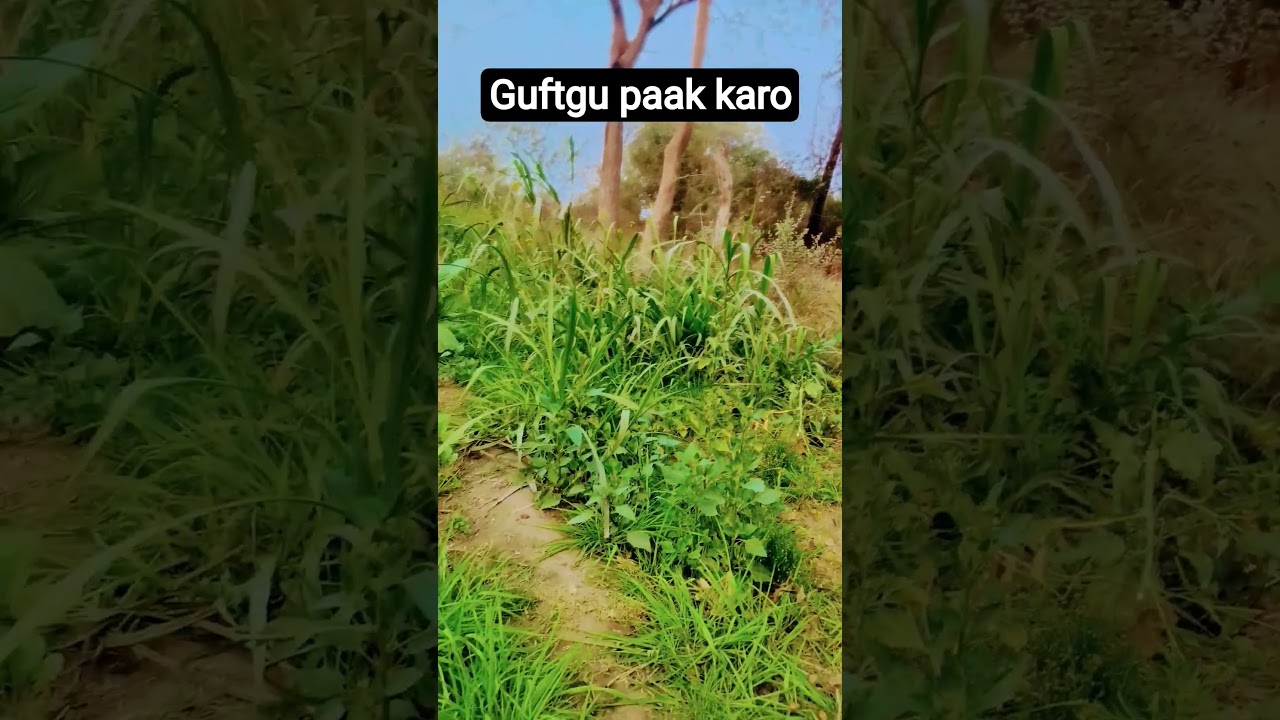 guftgu path saaf rakho 
