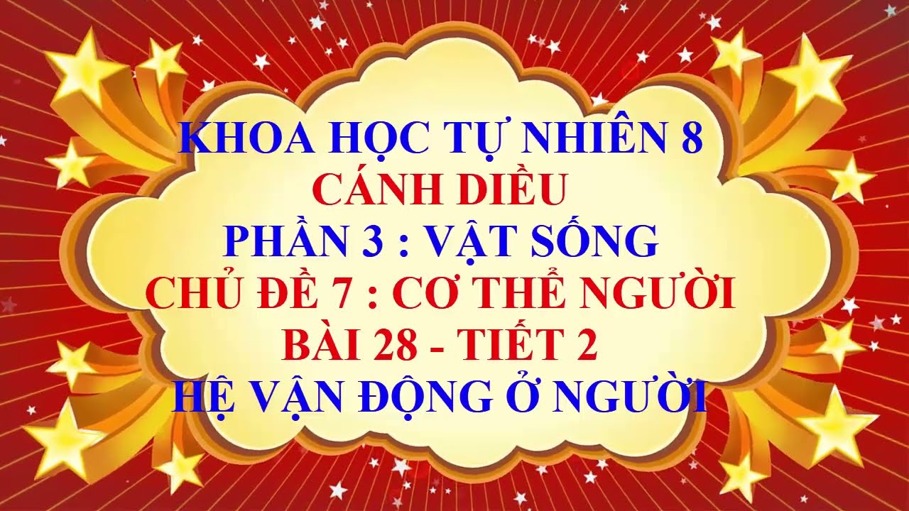 Khoa học tự nhiên lớp 8 - Cánh Diều - Chủ đề 7 - Bài 28 - Hệ vận động ở người - Tiết 2