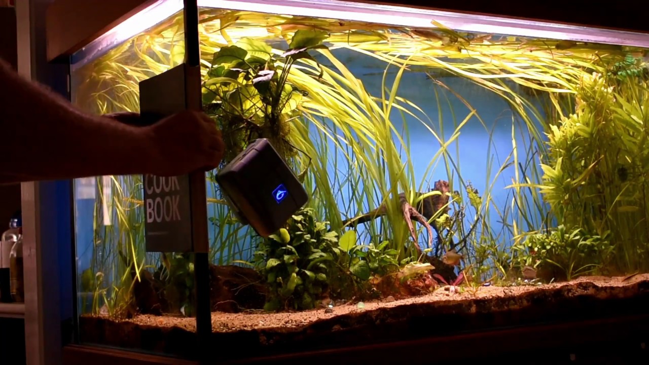 Aquagenesis RoboSnail - Setup and troubleshooting