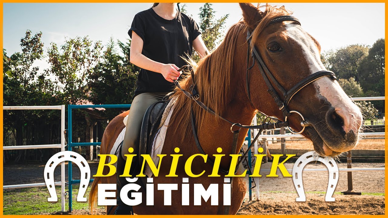 At Sevgisi🐴| BİNİCİLİK EĞİTİMİ ALMAK🏇🏻 | Sony A7 III Video