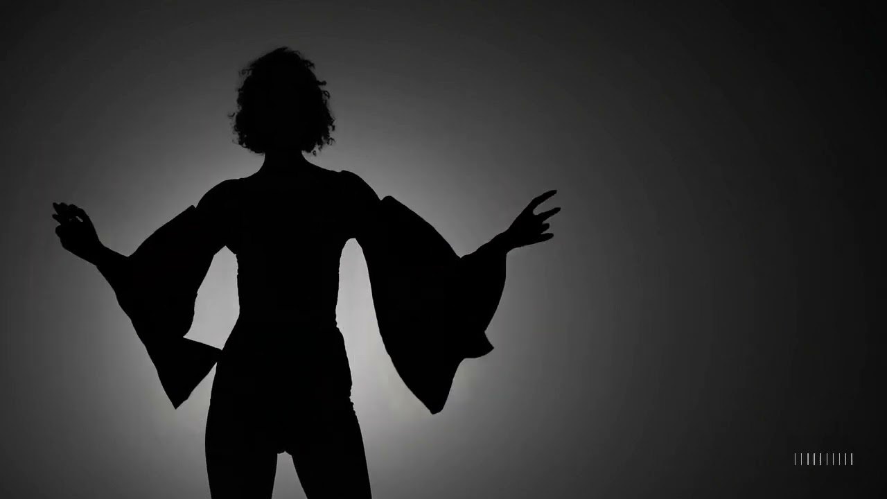 Shadowed Elegance: The Oversized Mystery