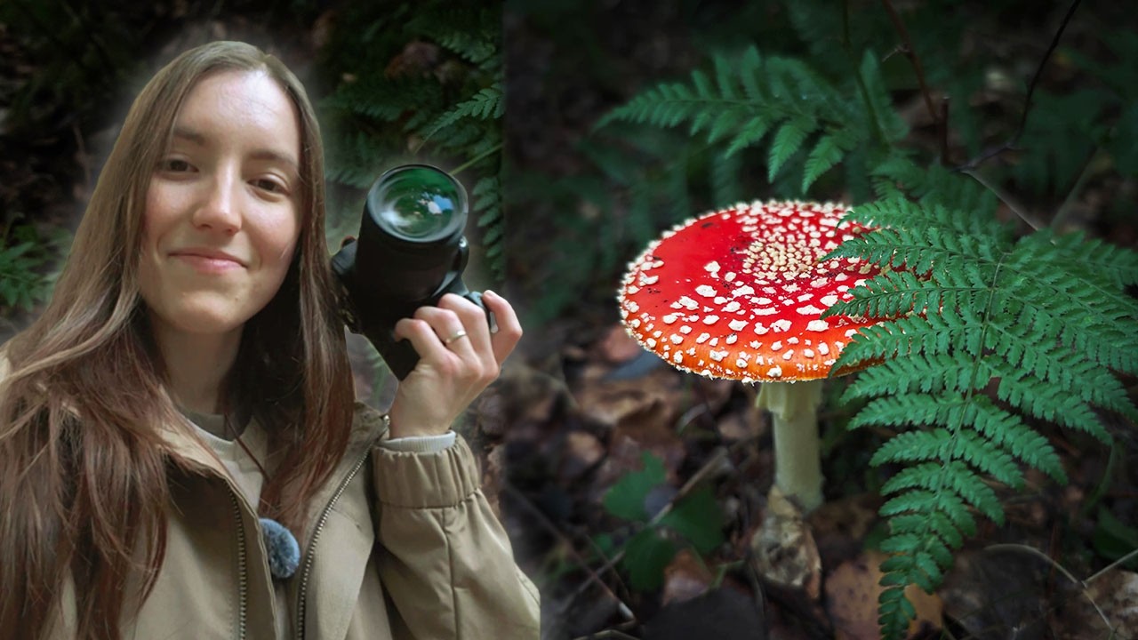 I Finally Found Fly Agarics: Photographing a Forest Dream