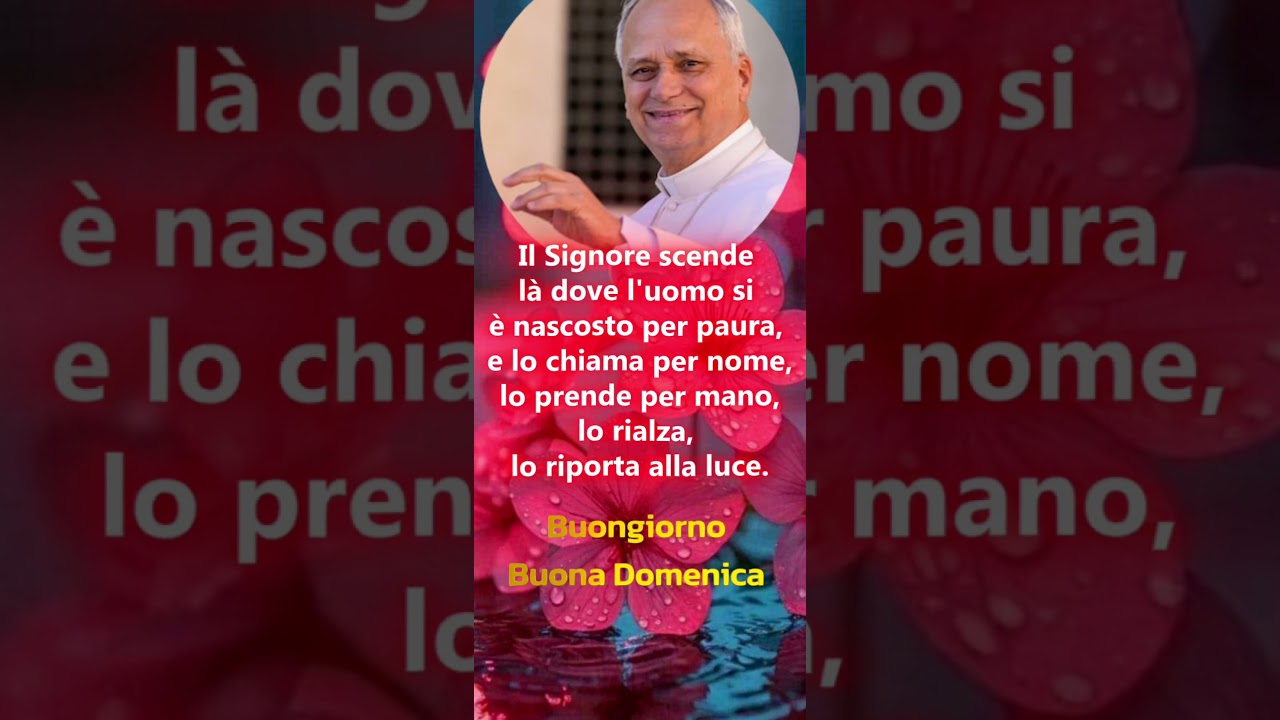 Papa Leone XIV