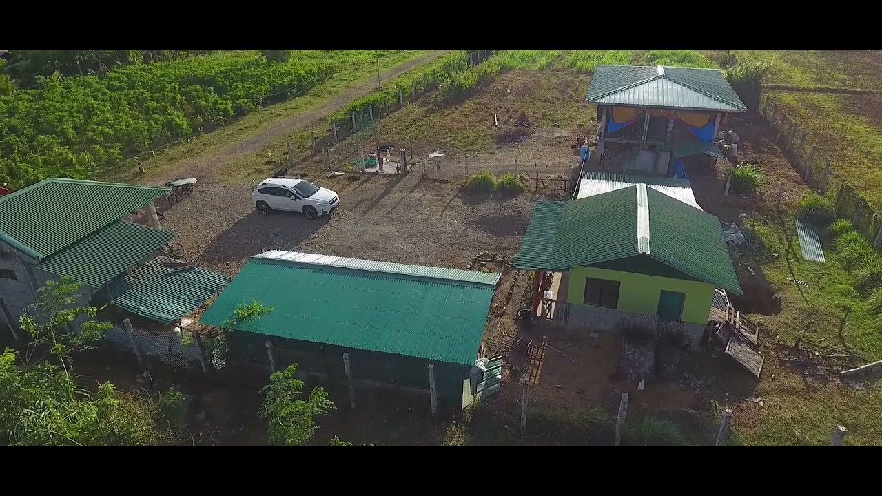 JAMI's FARM