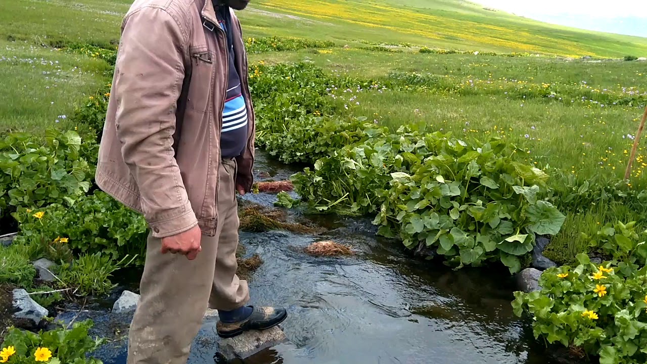 Erzurum çat yavi yaylaları ( dünyada ki cennet )