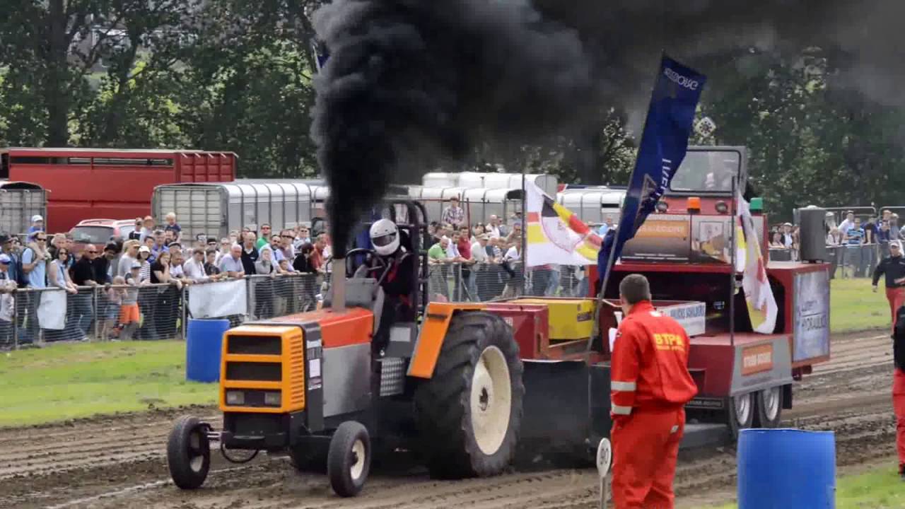 Shropshire County Show 2016