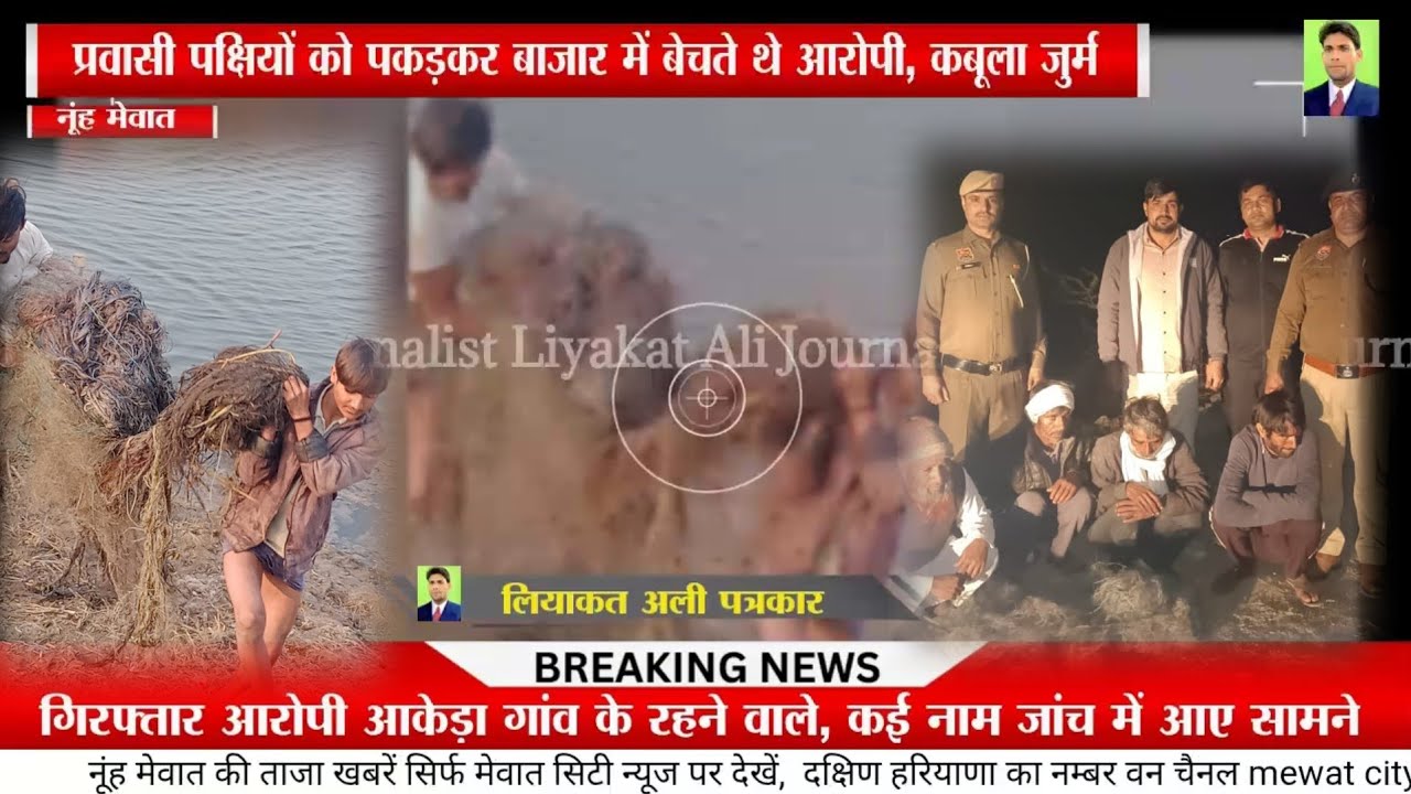 मेवात !! कोटला झील में प्रवासी पक्षियों के अवैध शिकार का भंडाफोड़, आकेड़ा के 4 आरोपी गिरफ्तार