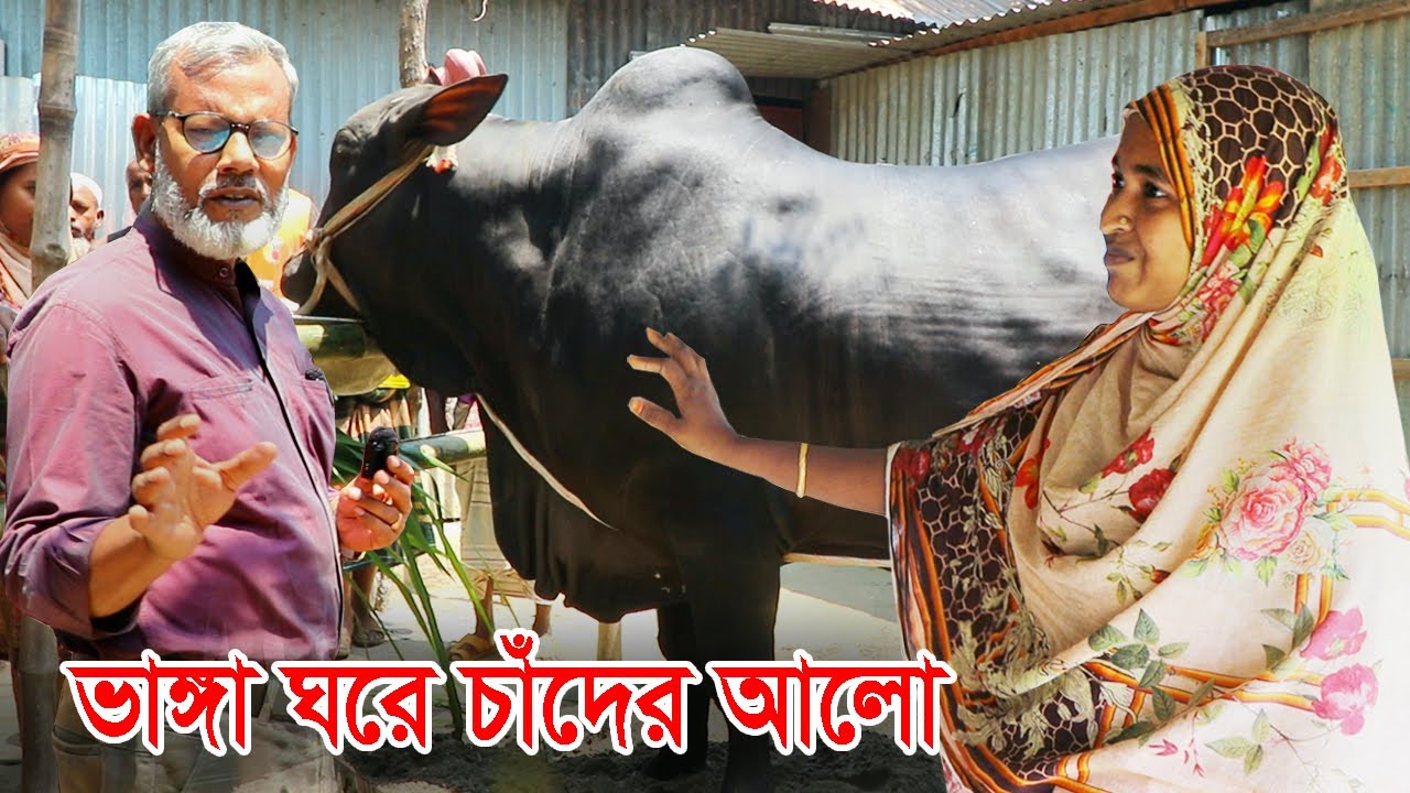 1137- এবার ভাঙ্গা ঘরে চাঁদের আলো, উল্লাপাড়া, সিরাজগঞ্জ-র.ই মানিক। R.I.Manik.Chitrapuri Krishichitra