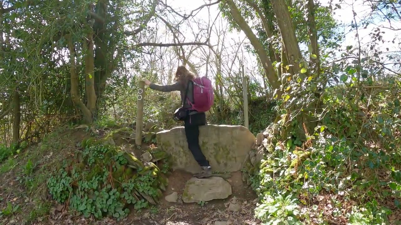 A circular countryside walk from Loddiswell, Devon to the forested Avon Valley and back.