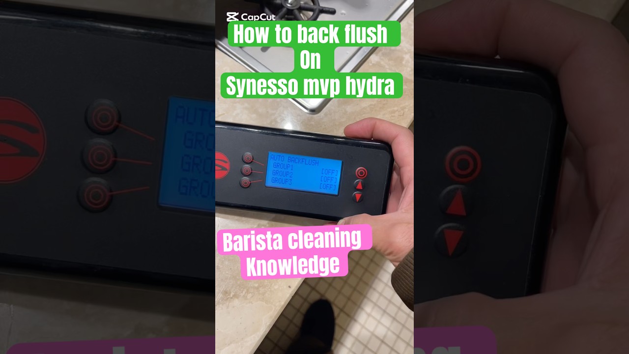 How to back flush on Synesso mvp hydra coffee machine | cleaning knowledge for barista 