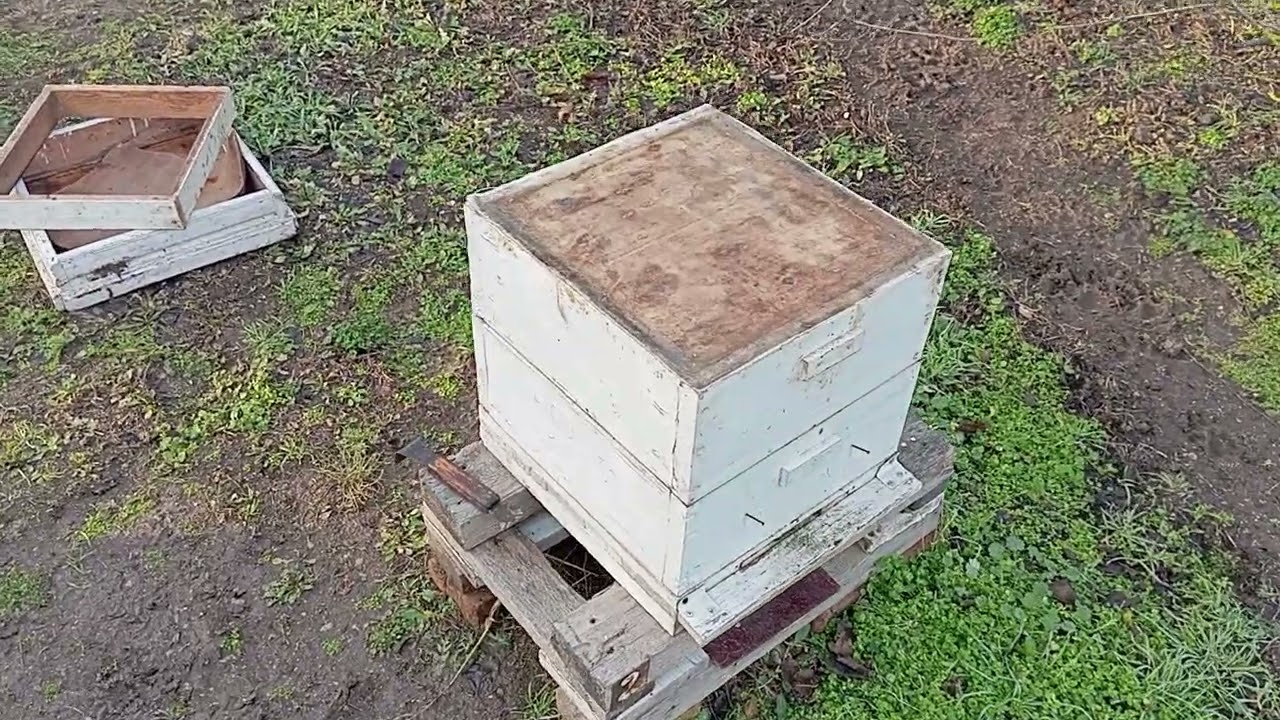 Примитивная селекционная работа которую я провожу на своей пасеке для улучшения ХПП своих пчёл. 