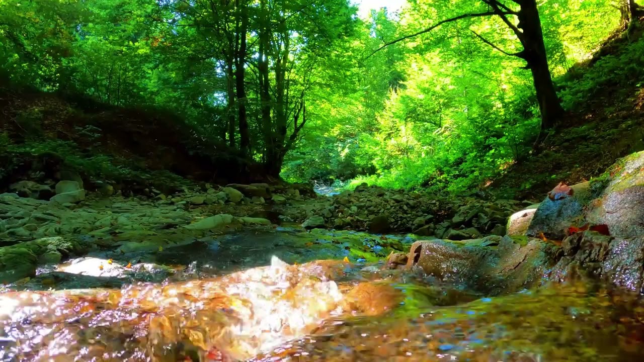 Piano Music for Stress Relief, Healing, Meditation #relaxingmusic #relax #viral #viralvideo