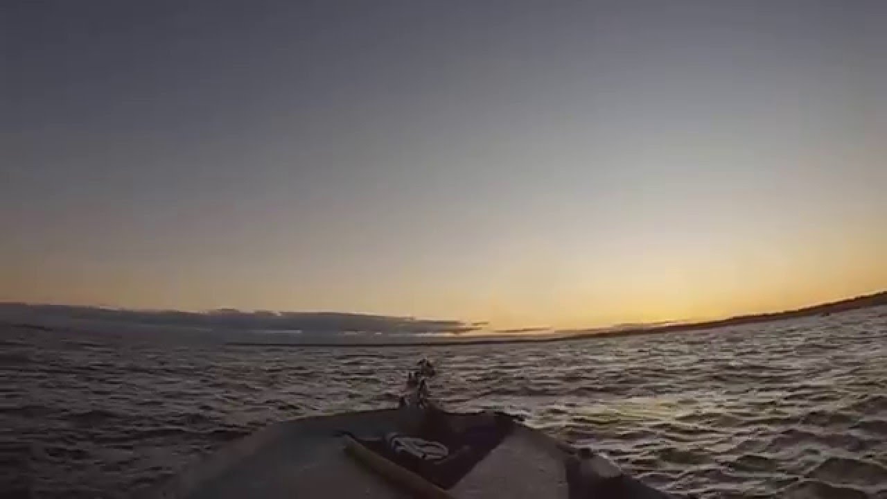 Cape Cod Eider Hunt