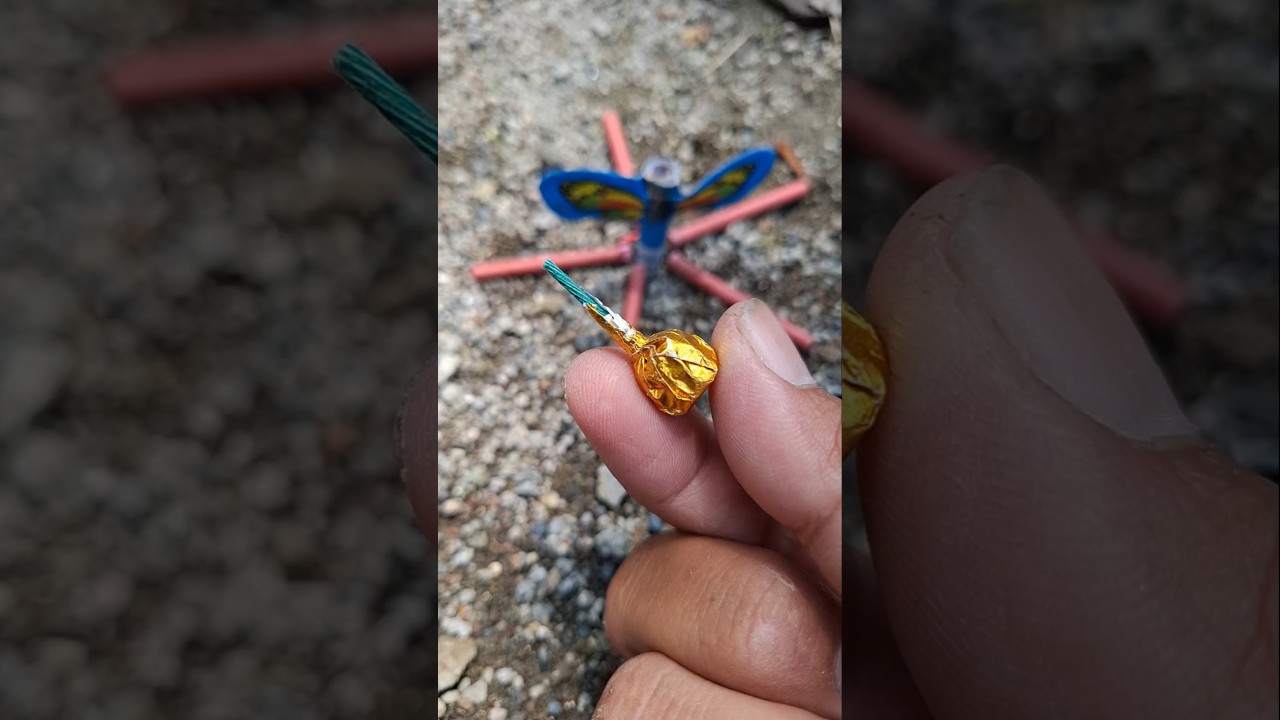 DINO EGG MERCON PRETEK VS BUTTERFLY 