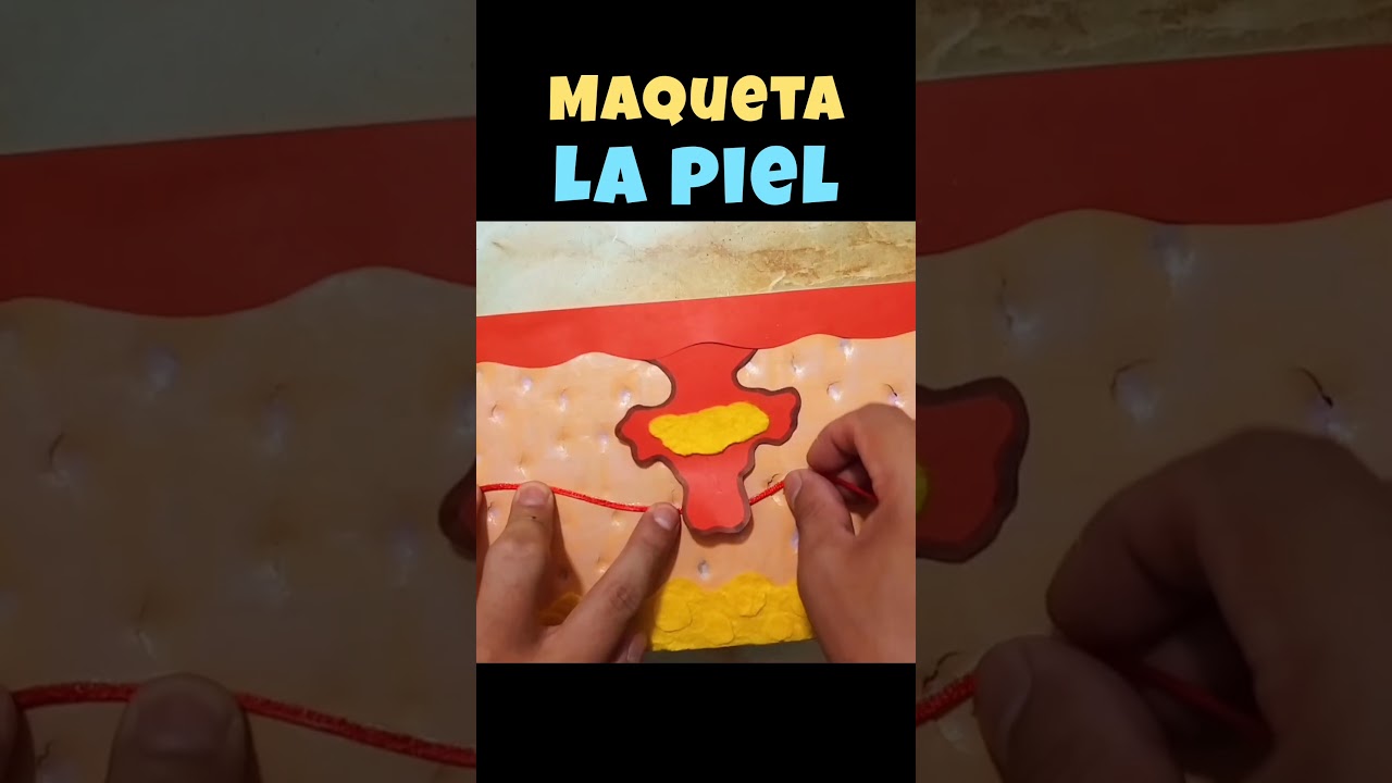 Maqueta de La Piel 