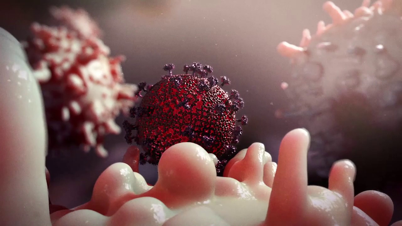 What is Human Immunodeficiency Virus (HIV)?