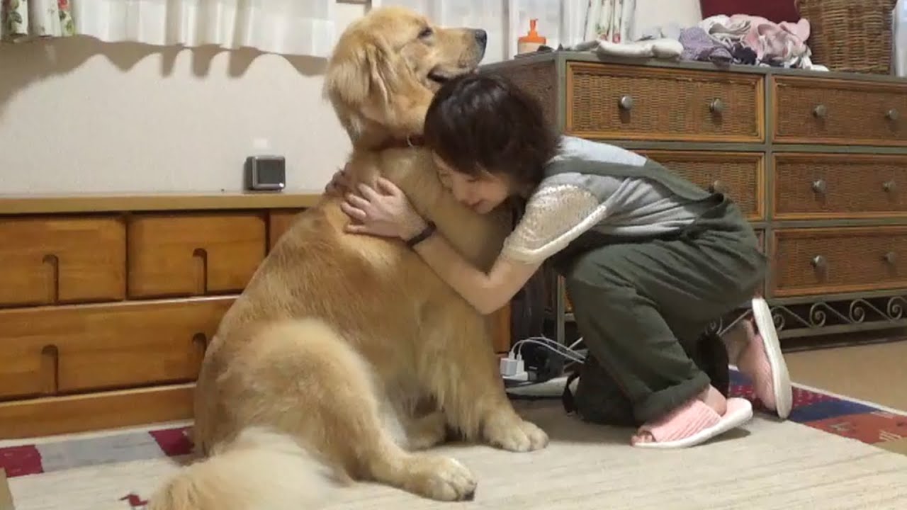 やんちゃにもほどがある