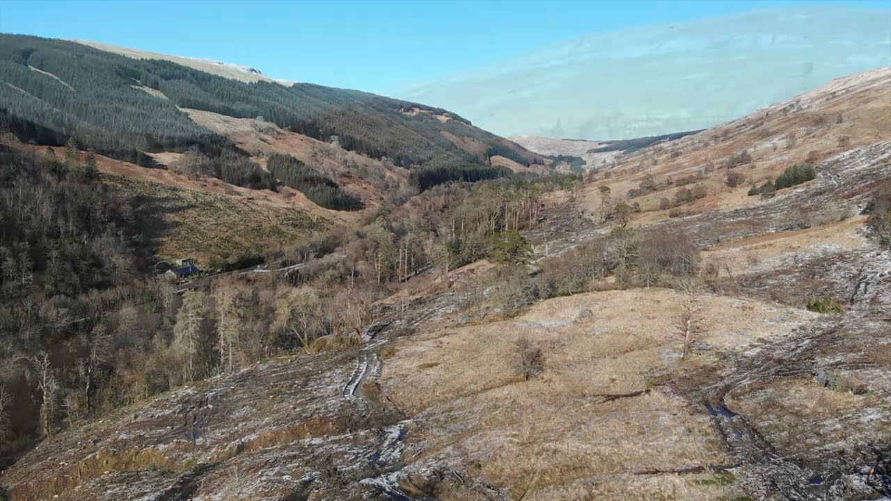 Dunans Castle Woodland, March 2023