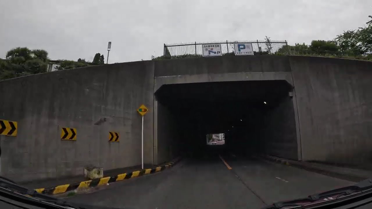 葛飾区柴又付近から埼玉県三郷市の三郷流山橋(有料)で千葉県に渡る