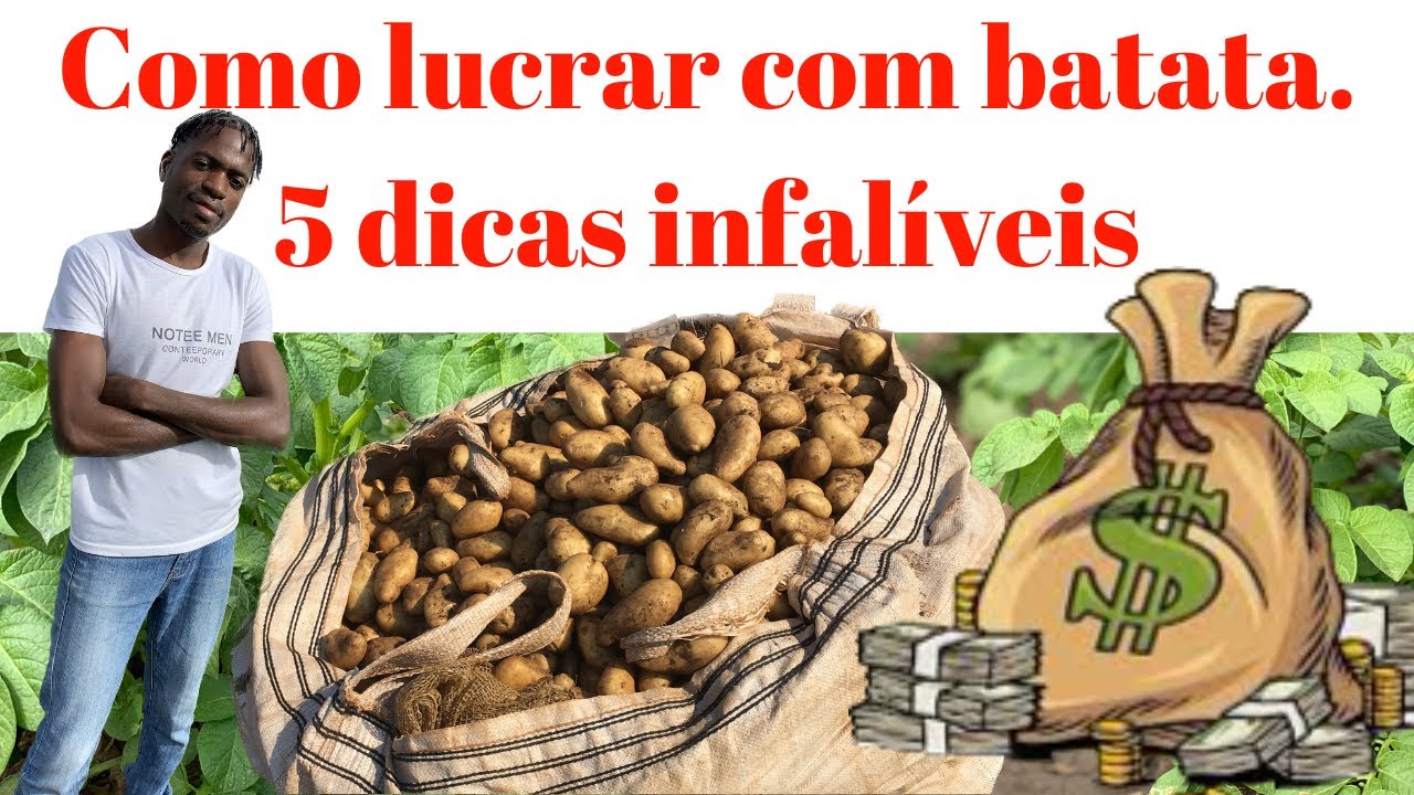 💰💡 Descubra como lucrar com batatas! 5 dicas essenciais! 🥔✨