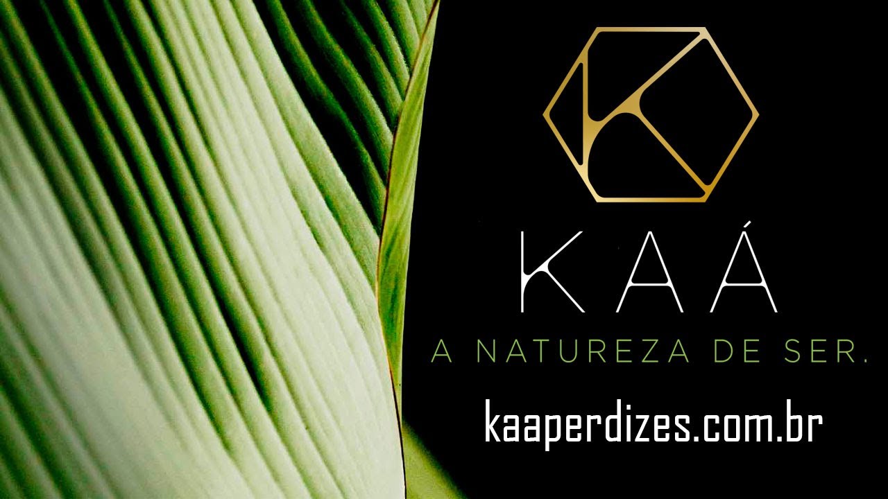 kaaperdizes.com.br | Kaá Perdizes - Locus Inc. | Rocontec - Lançamento em Perdizes | 188m² a  471m²