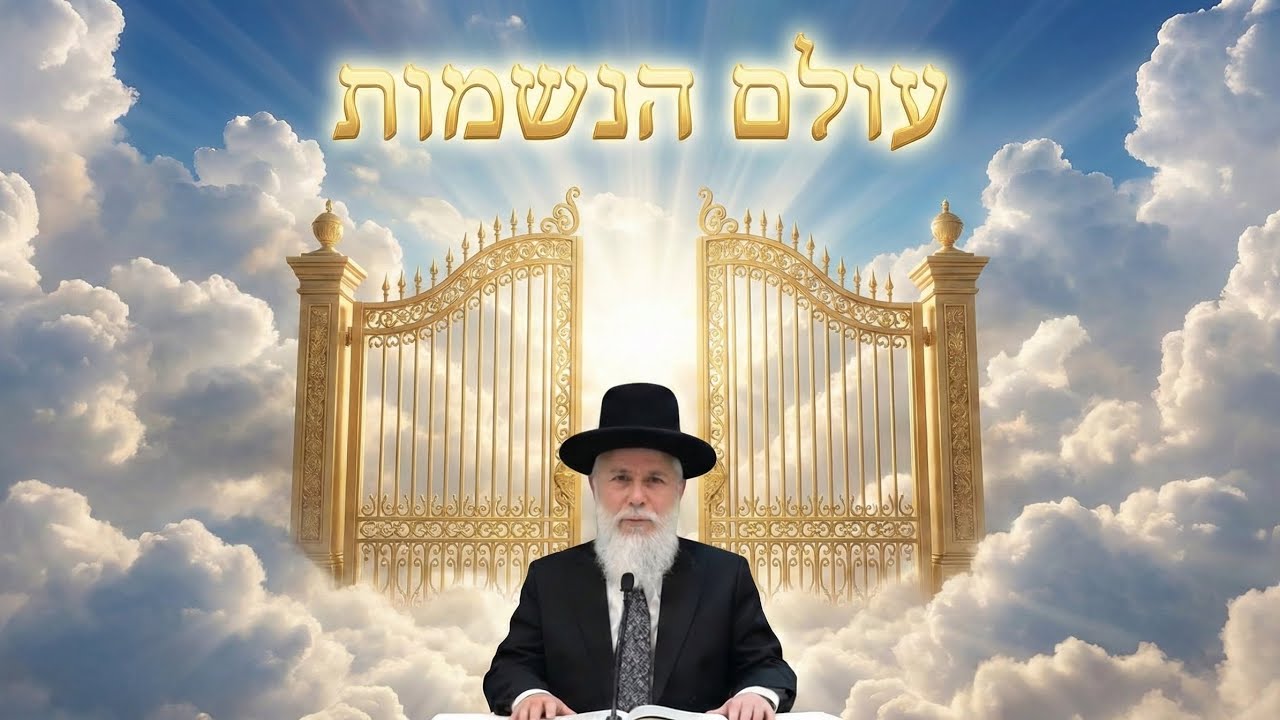    עולם הנשמות 🌅 הרב זמיר כהן בהרצאה מעולם אחר!