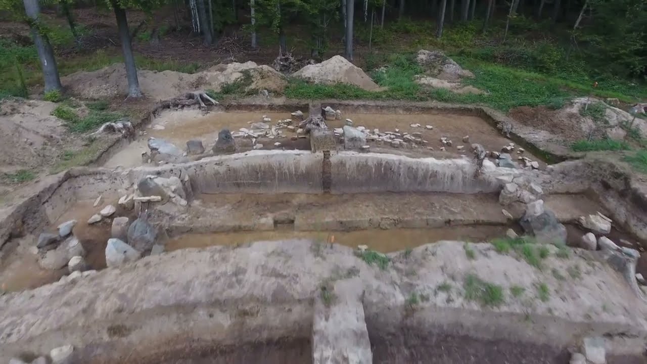 Czego szukają archeolodzy w lesie? Badania w ramach 