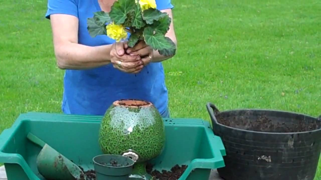 How to plant a Down Under Pot video