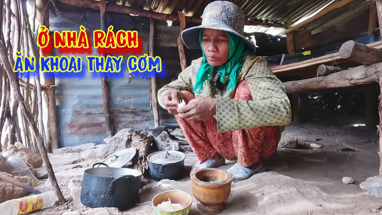 HẾT GẠO ăn khoai mì thay CƠM, ở trong CĂN NHÀ mục nát, trên ngọn NÚI CAO - tập 1176