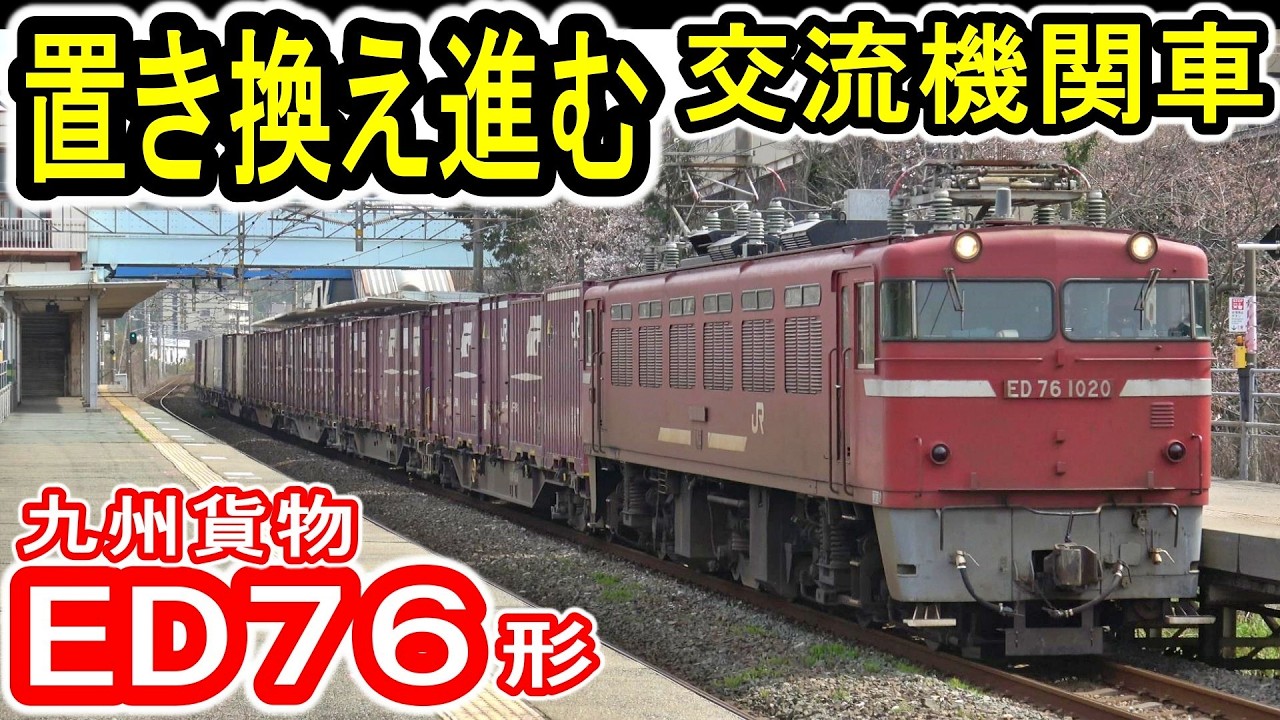 【置き換え進む】 九州貨物 ED76形 電気機関車 2024年現役 全車両収録！  (JR貨物 交流機関車) 1000番台 (0番台消滅) EF510形と世代交代へ 【現役最後の4軸動輪機関車？】