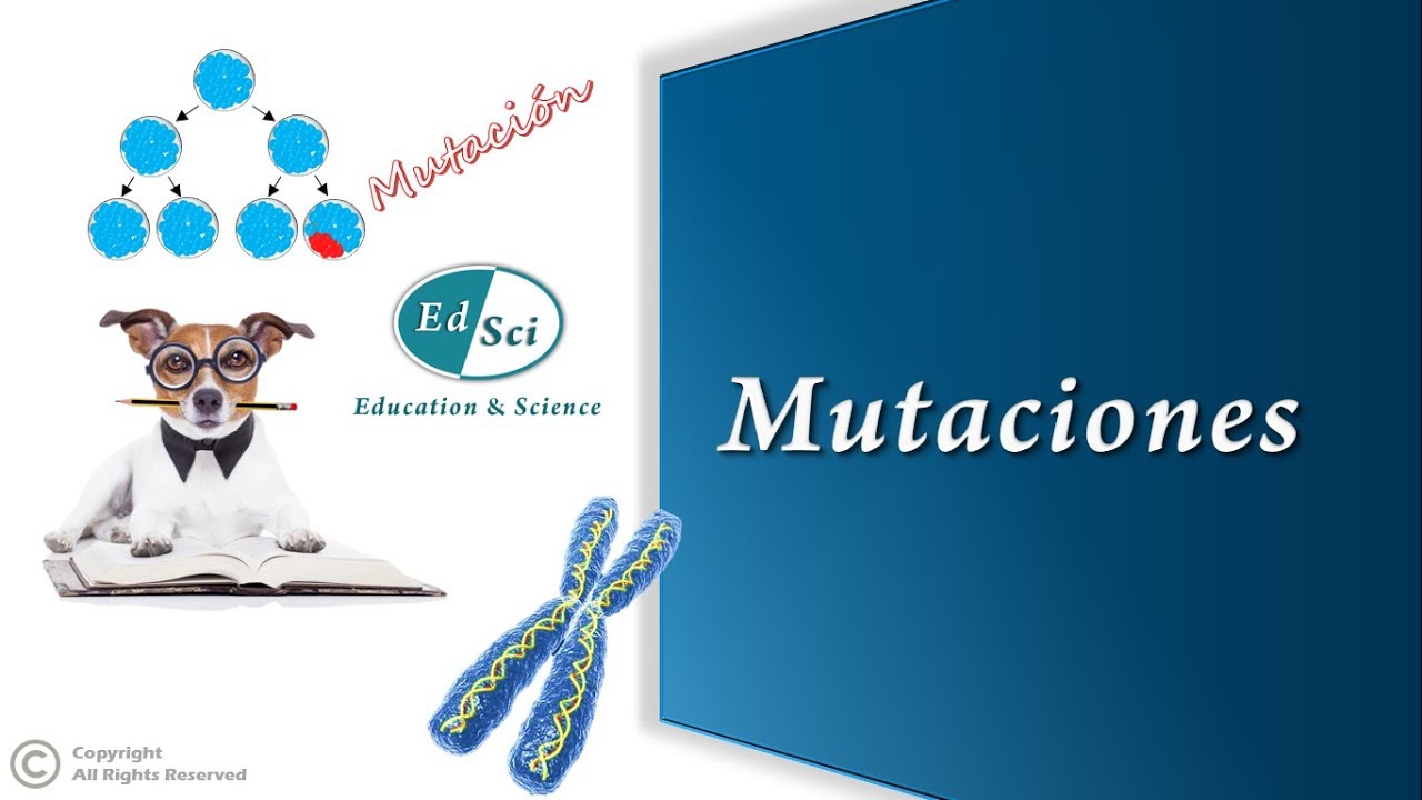 👩🏻&zwj;⚕️ Mutaciones 🧬✅