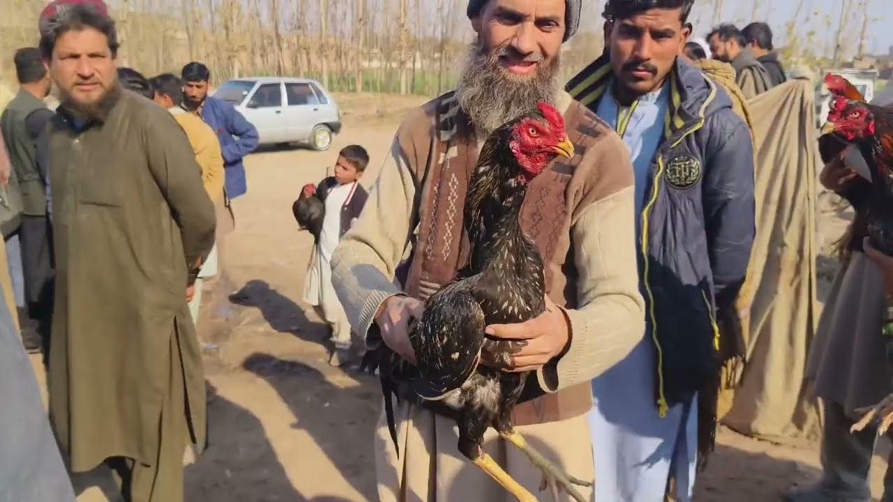 Updates on Ring Road Aseel morgha Mandi 2025 video part 2