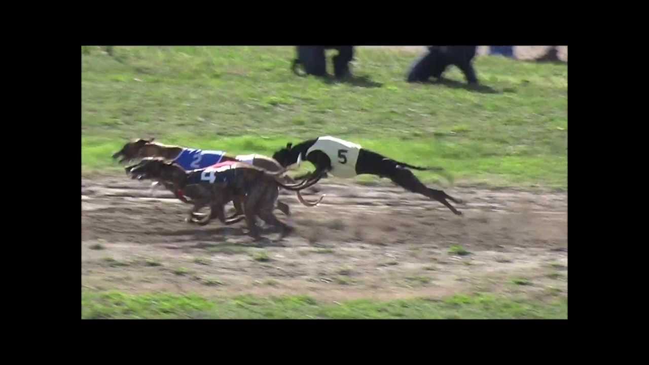 Series - Championnat de France 2015 de la FFSCL