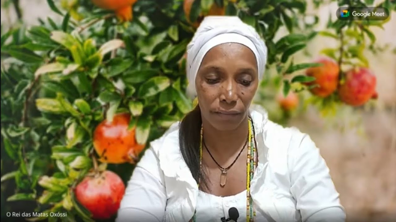 Romã folhas e casca do fruto na Umbanda