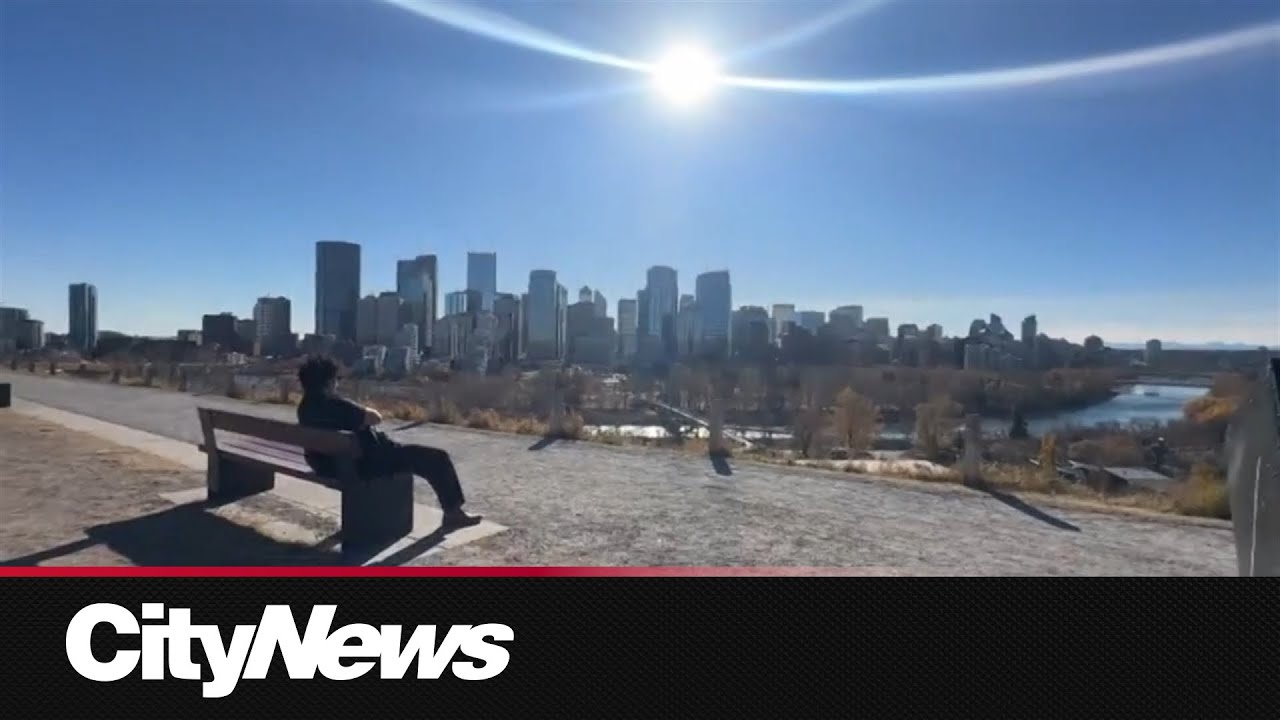 Jobs, housing, schools: Calgarians report ongoing immigration pressures in new CityNews Poll