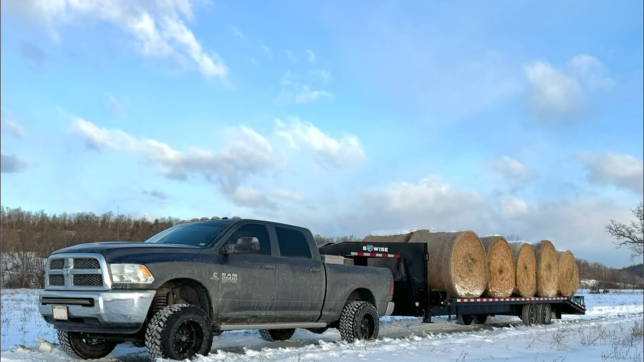 We made it through the arctic blast!   