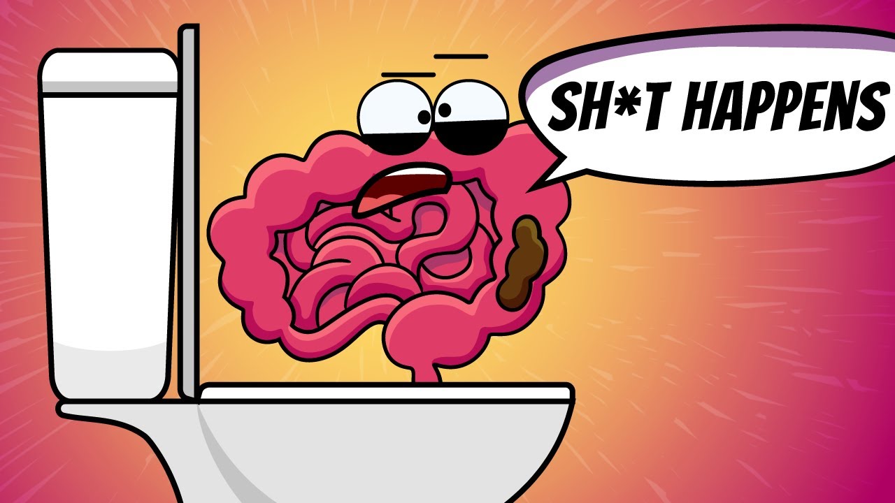Inside Your Body When You Poop | Organismo