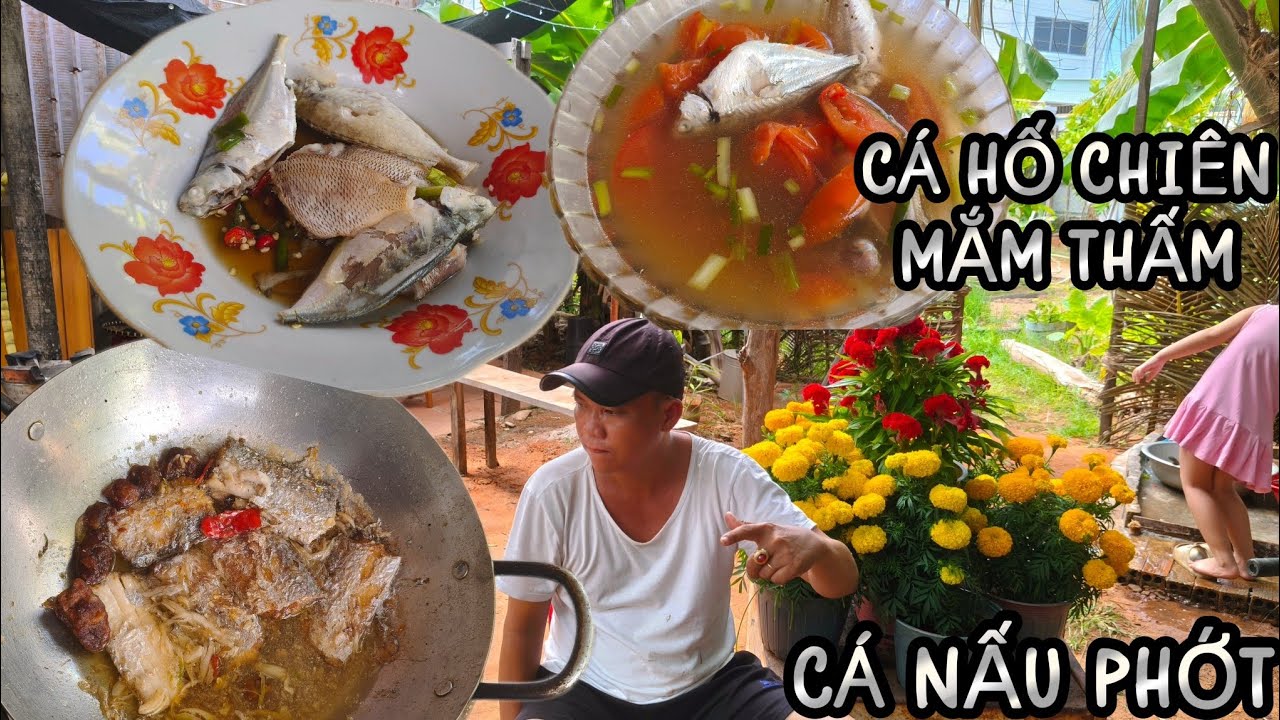 Ngon Như Bữa Cơm Mẹ nấu với Món CÁ NẤU PHỚT, CÁ HỐ CHIÊN MẮM THẤM cực ngon