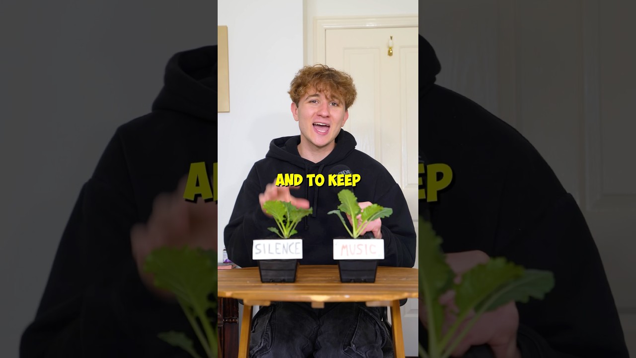 Do Plants Grow Better With Music? 🪴