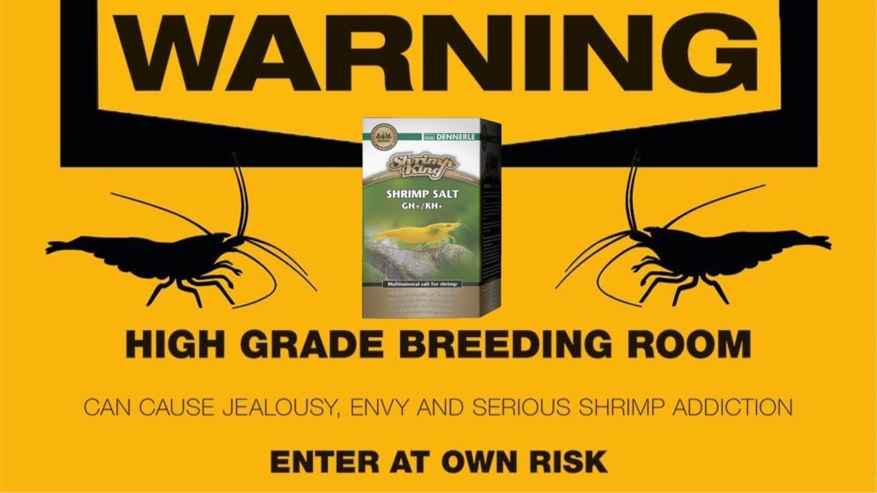 Reminerlizing the New Neo tanks with Dennerle Shrimp Salt