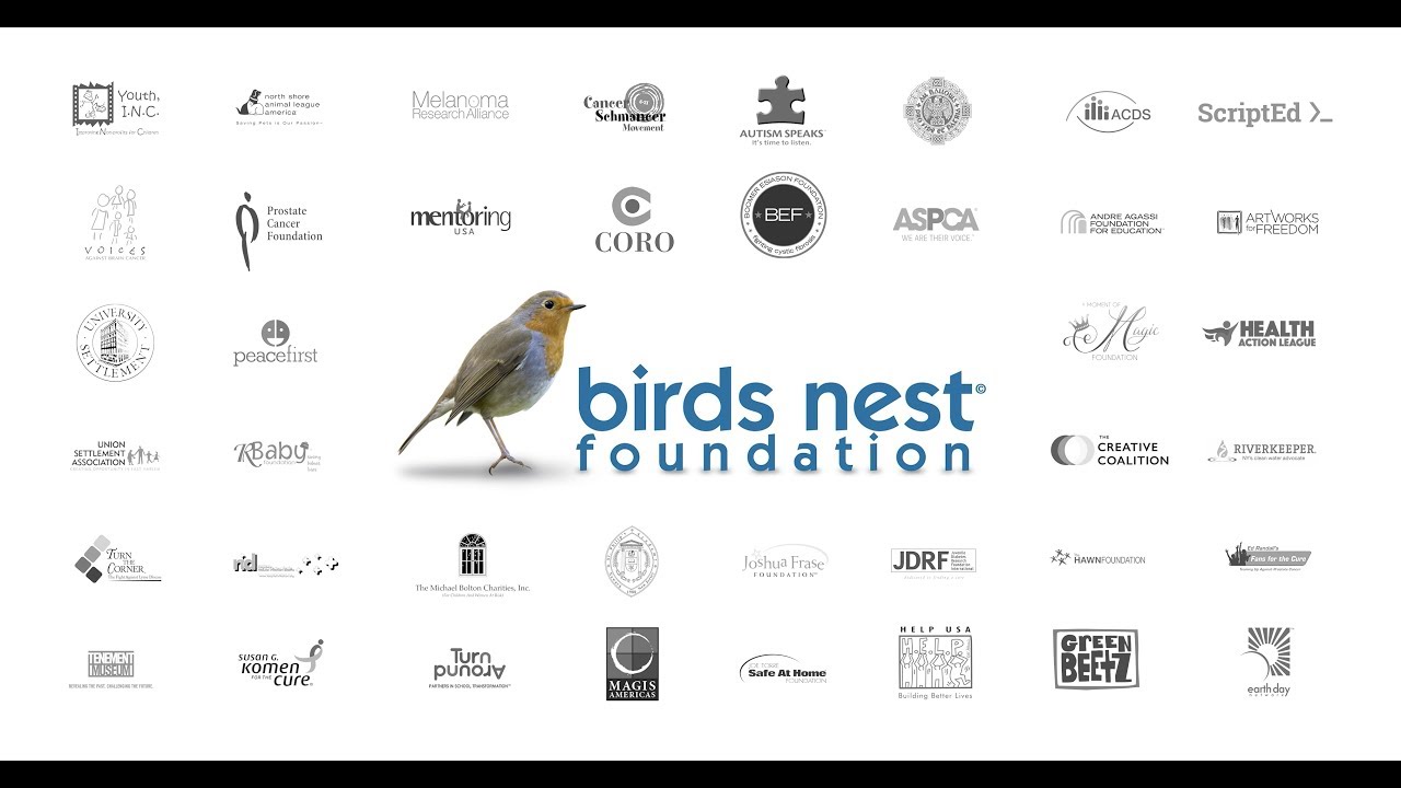Birds Nest Foundation Showreel