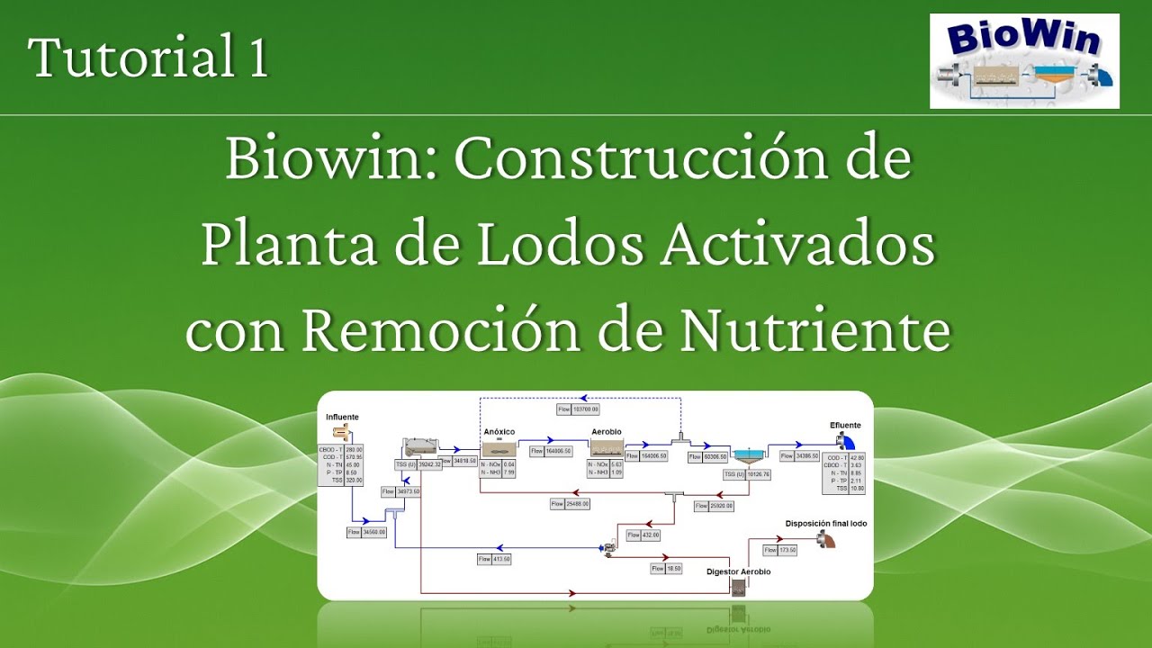 🏭 TUTORIAL 1, BIOWIN: Construcci&oacute;n de Planta de Lodos Activados con Remoci&oacute;n de Nutrientes