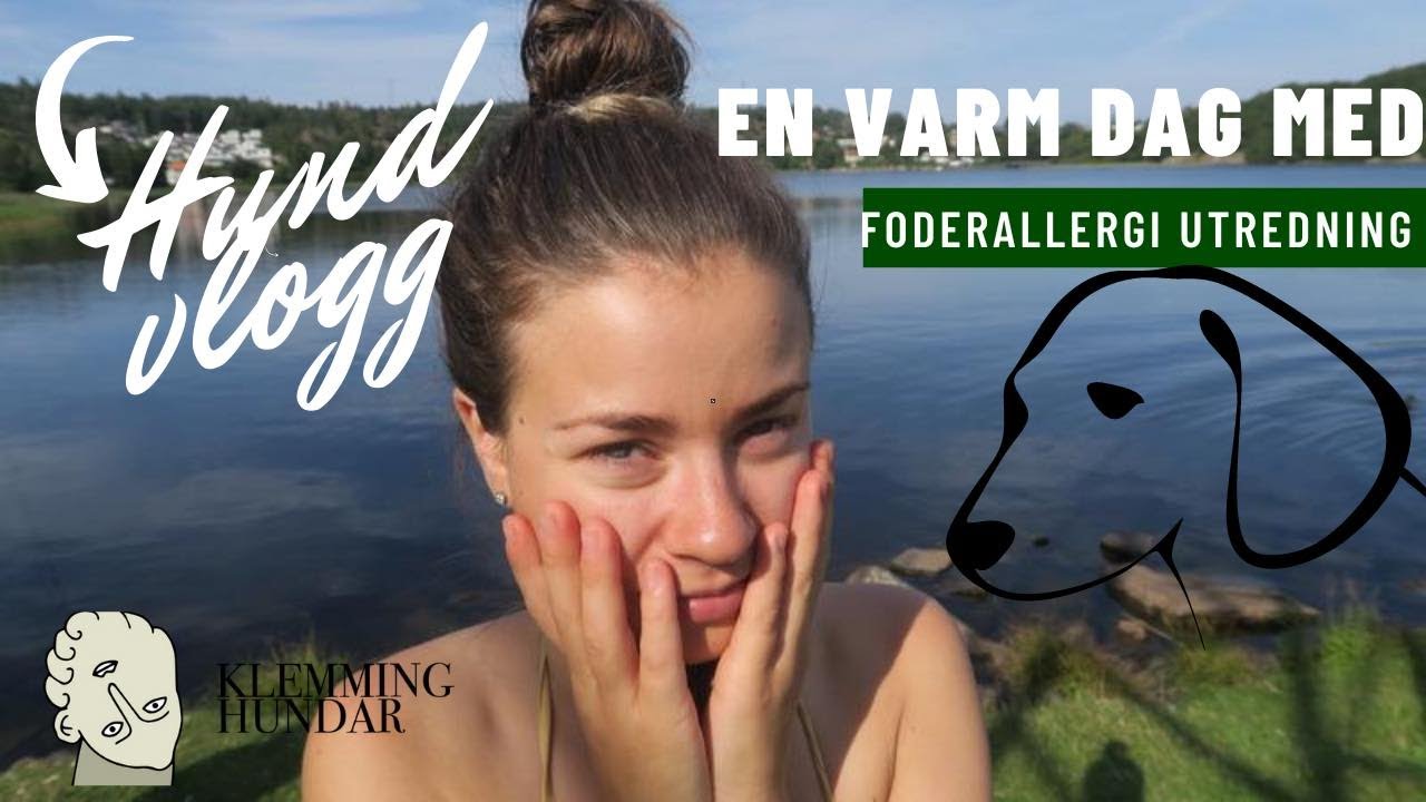 HUNDVLOGG - 45 MIN AV NARCISSISM OCH FODERALLERGI UTREDNING