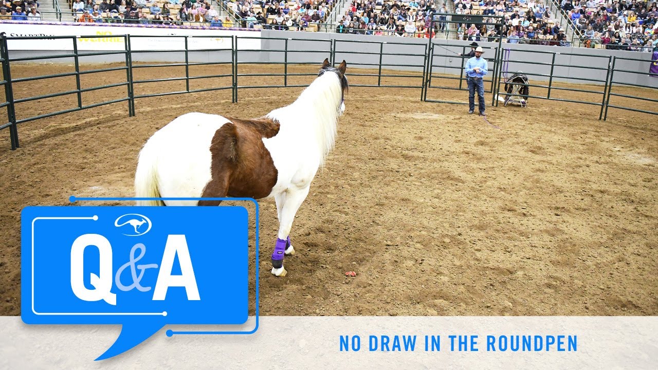 Horse Has No Draw in the Roundpen - Q&A With Clinton Anderson
