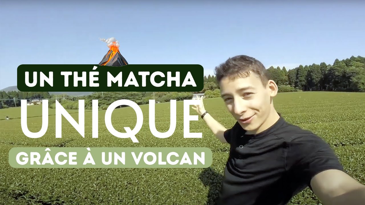 Ce qui rend le thé matcha de Nishi-san unique