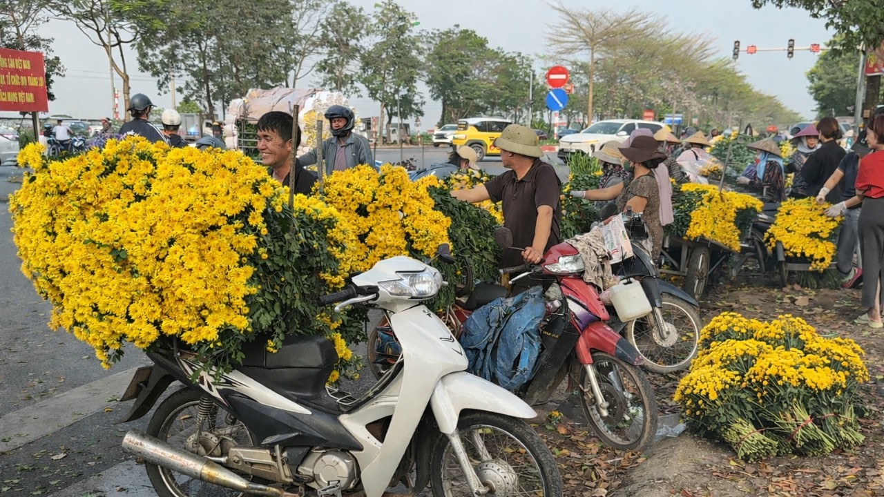 Traditional Flower Market 🌼 Bustling Morning With Yellow Daisy Vendors | Vietnam Street Life