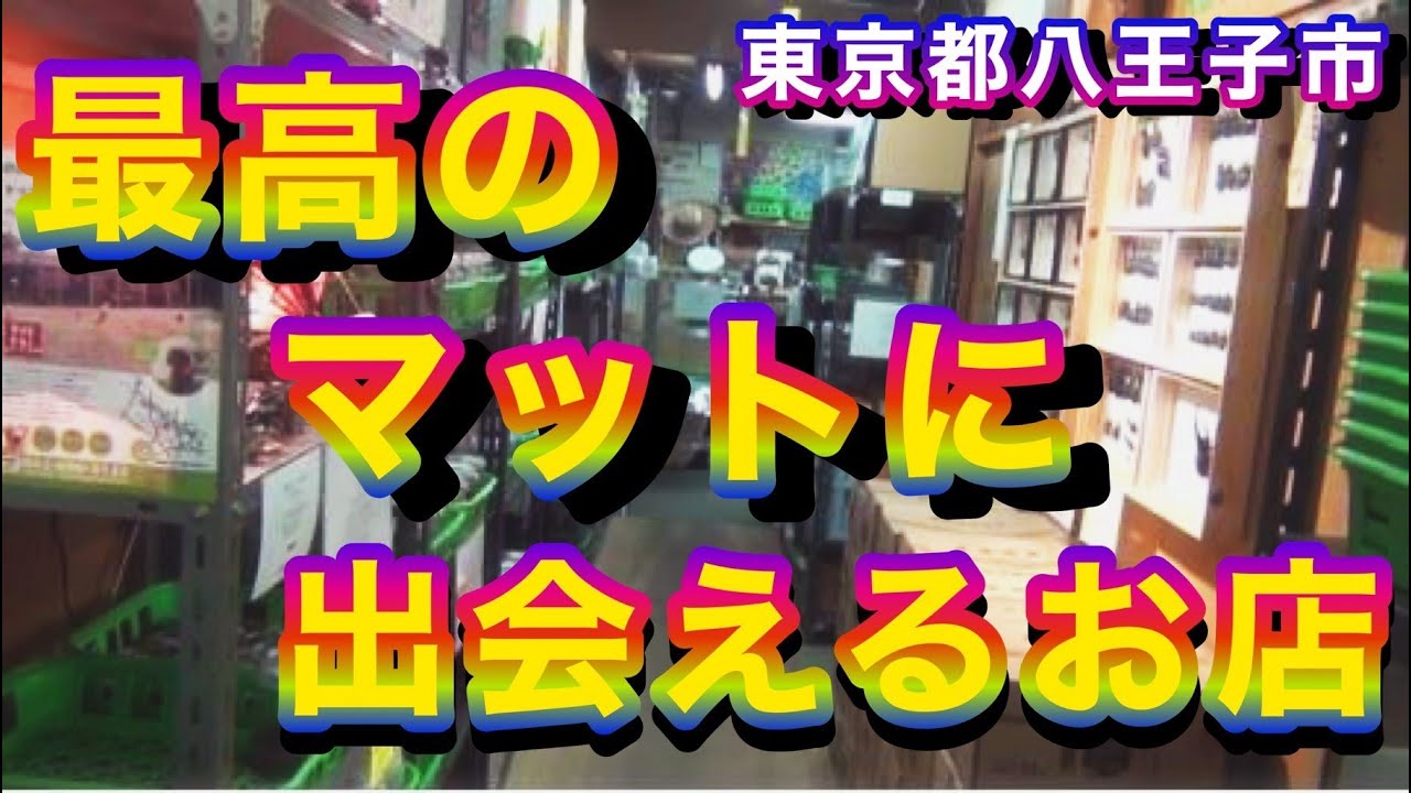 冬でも国産カブトムシが見られるお店！？有名マットを生み出した都内の老舗店舗に初潜入！！　Ryu's Tree#107【カブトムシ・クワガタムシのお店】【RTN】