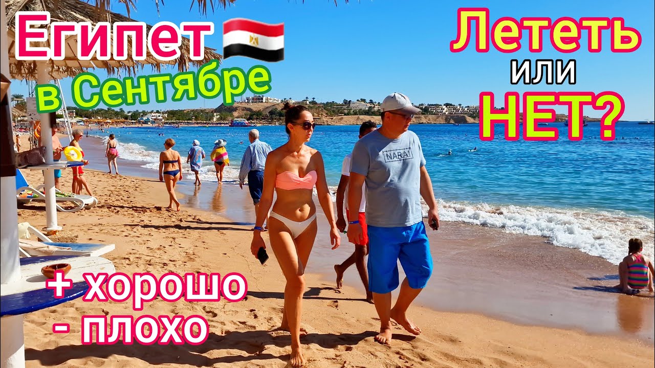 ОТДЫХ в Египте в СЕНТЯБРЕ 🇪🇬 А стоит ли ЕХАТЬ? Цены падают. Какой курорт выбрать? Снова АКУЛА❗️